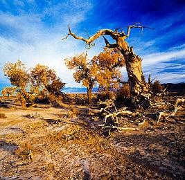 超级任天堂世界将于2023年在好莱坞环球影城开放